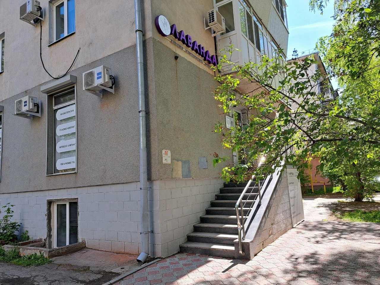 Лаванда